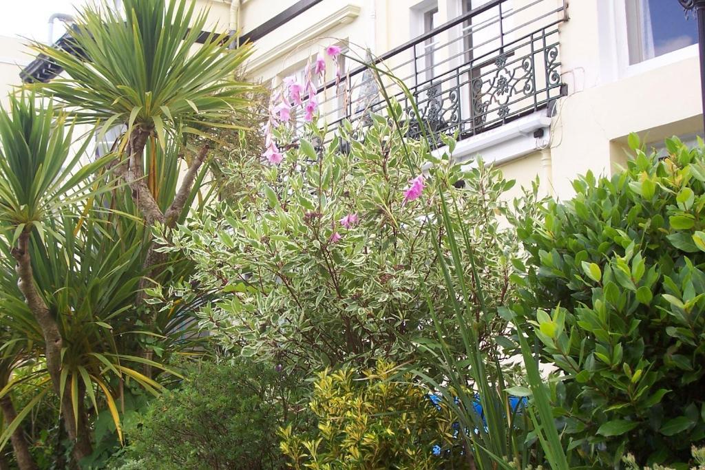 לינה וארוחת בוקר טורקוואי Ashwood Grange מראה חיצוני תמונה